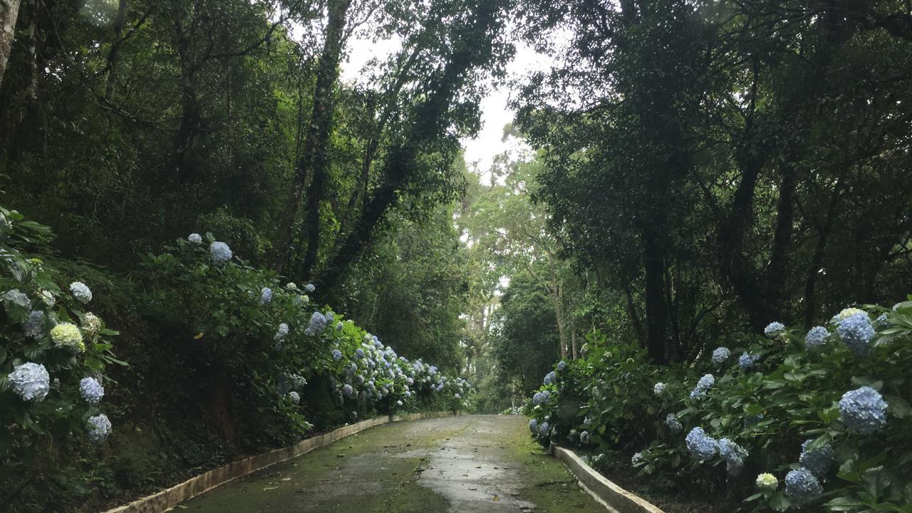 Em Apartamento Campos do Jordão